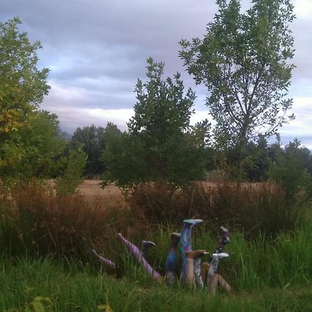 Klipfontein Rustic Farm & Camping Tulbagh Dış mekan fotoğraf