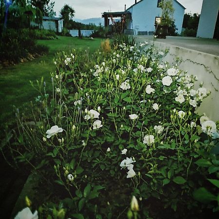 Klipfontein Rustic Farm & Camping Tulbagh Dış mekan fotoğraf