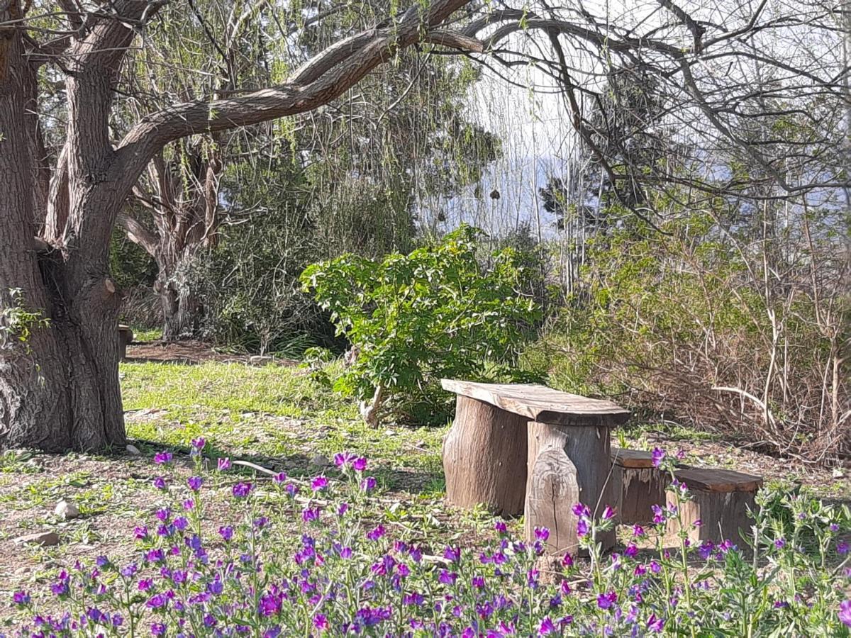Klipfontein Rustic Farm & Camping Tulbagh Dış mekan fotoğraf