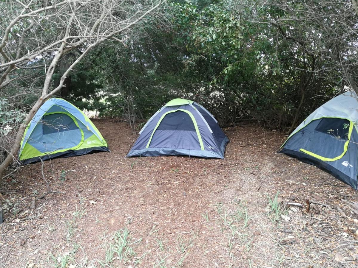 Klipfontein Rustic Farm & Camping Tulbagh Dış mekan fotoğraf