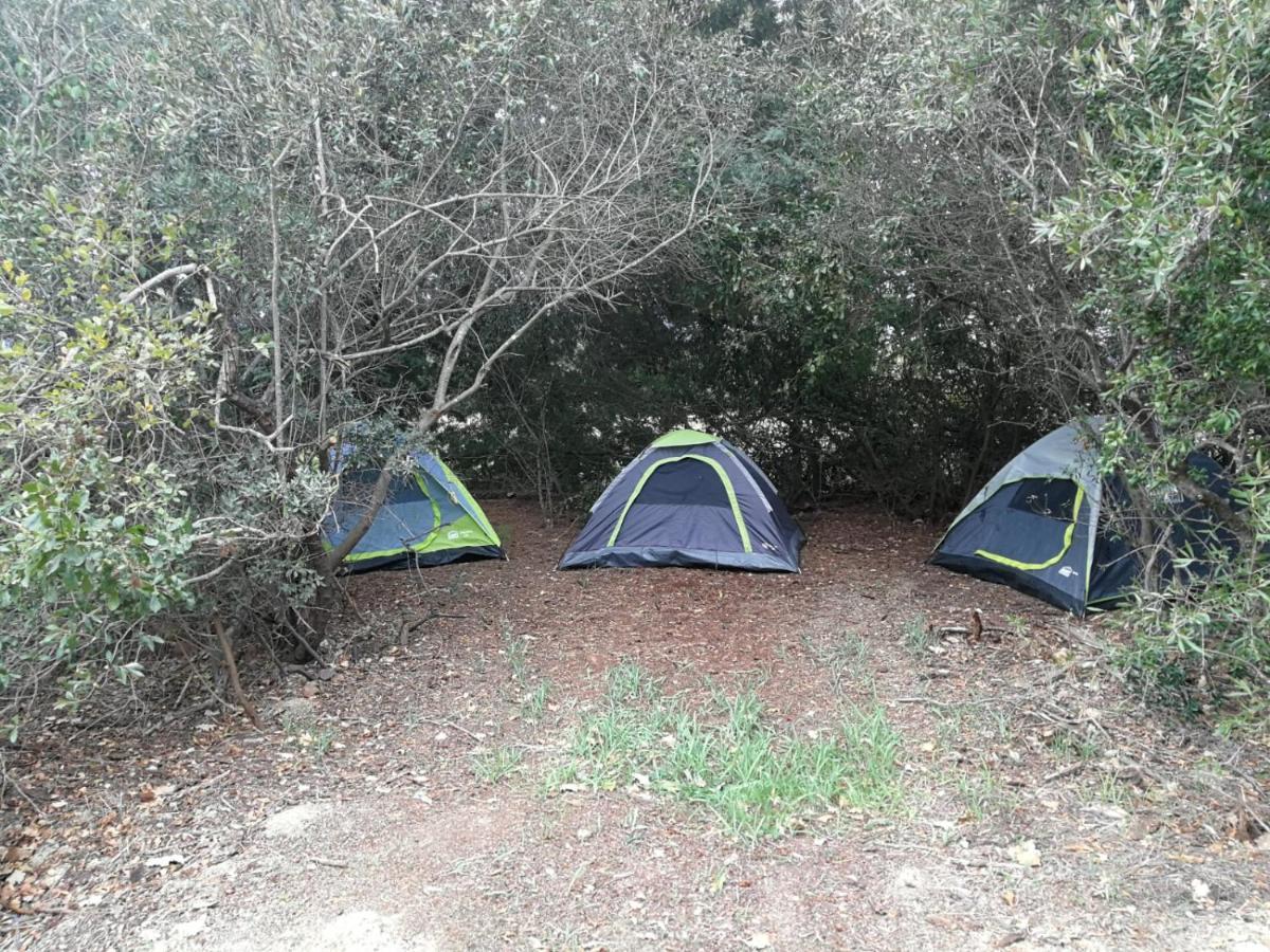 Klipfontein Rustic Farm & Camping Tulbagh Dış mekan fotoğraf