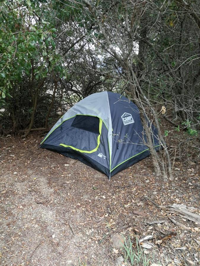 Klipfontein Rustic Farm & Camping Tulbagh Dış mekan fotoğraf