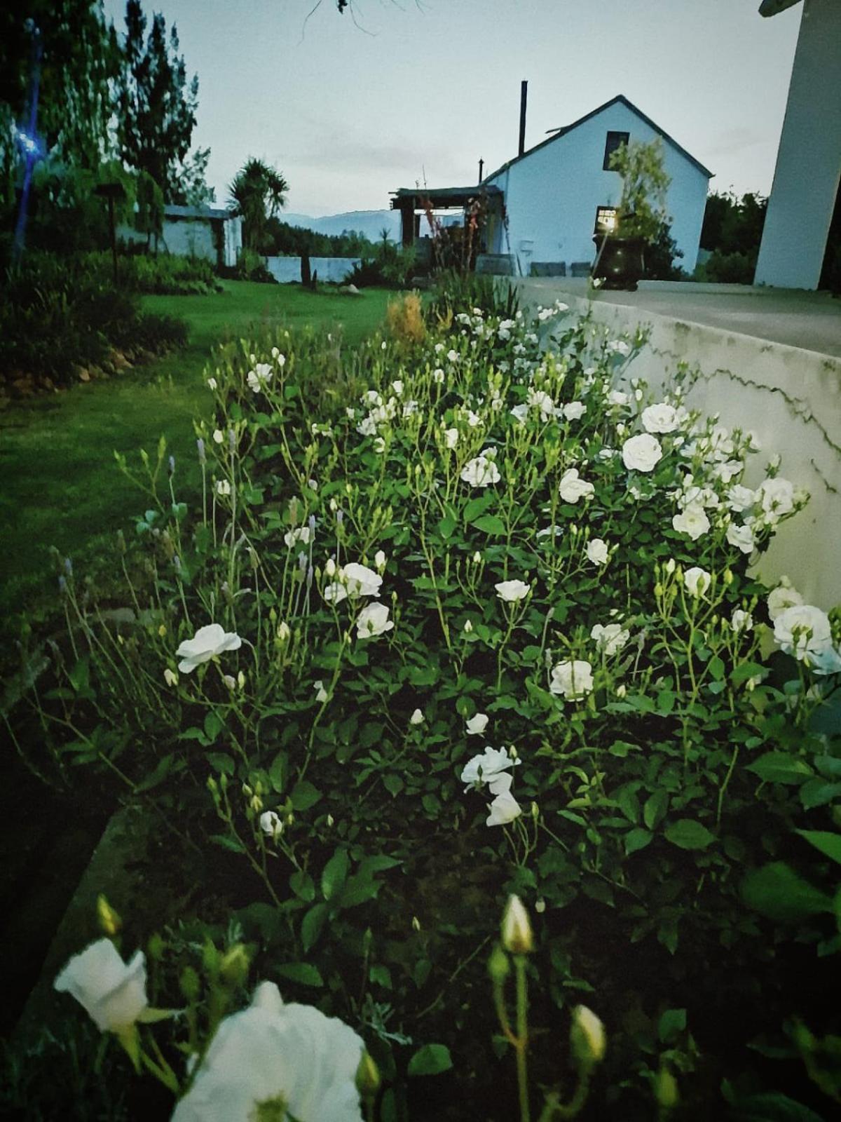 Klipfontein Rustic Farm & Camping Tulbagh Dış mekan fotoğraf